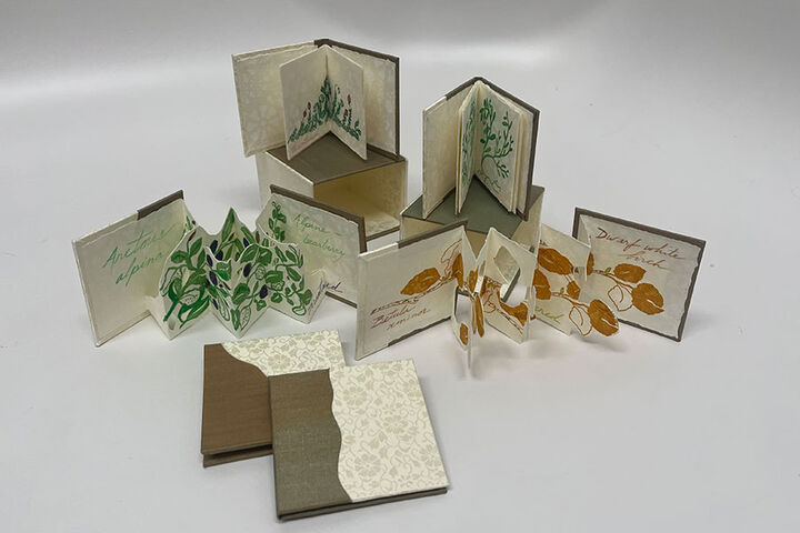 A display of handmade books.